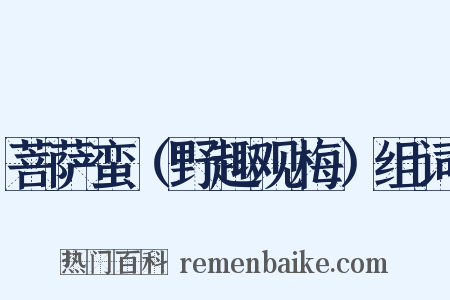 菩萨蛮（野趣观梅）组词是什么意思的图片